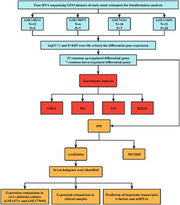 Identification of key genes in the pathogenesis of preeclampsia via bioinformatic analysis and experimental verification